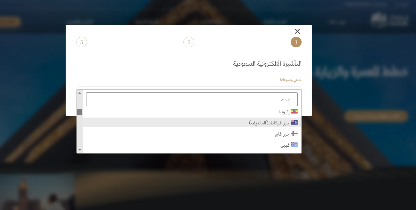 اضغط على أيقونة التأشيرة الإلكترونية السعودية