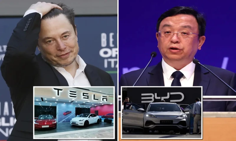 إيلون ماسك في مأزق: كيف تفوقت BYD على تسلا في سوق السيارات الكهربائية