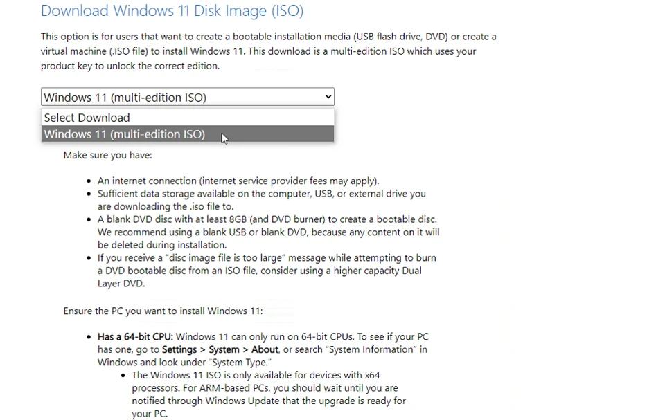 Windows 11