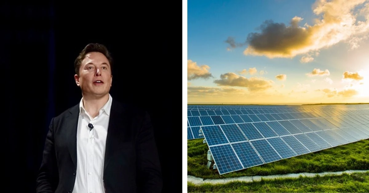 Elon Musk Climate Change