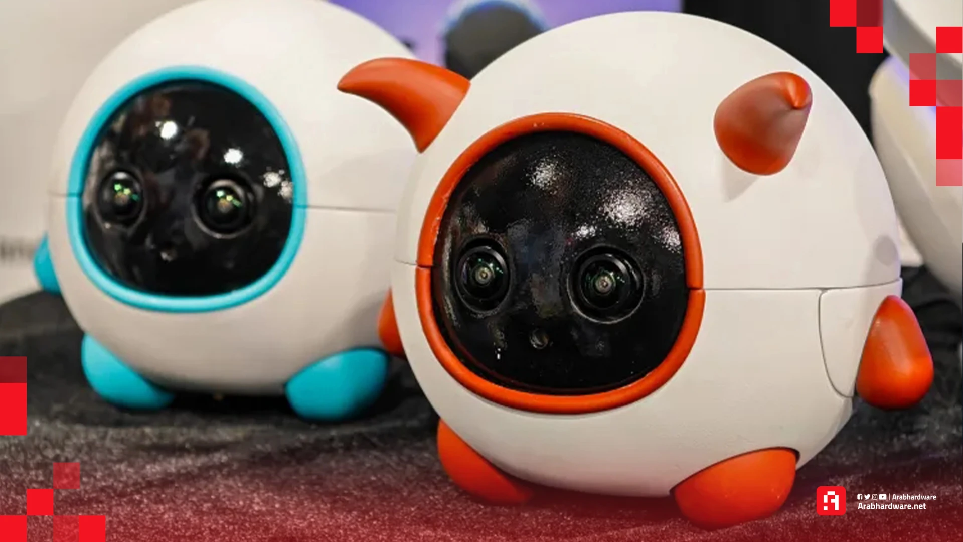 روبوت من تطوير FrontierX يصور الحيوانات الأليفة ويلعب معها