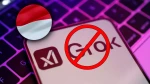 إندونيسيا تحظر Grok والغضب يشتعل ضد ماسك بسبب المحتوى غير الأخلاقي!