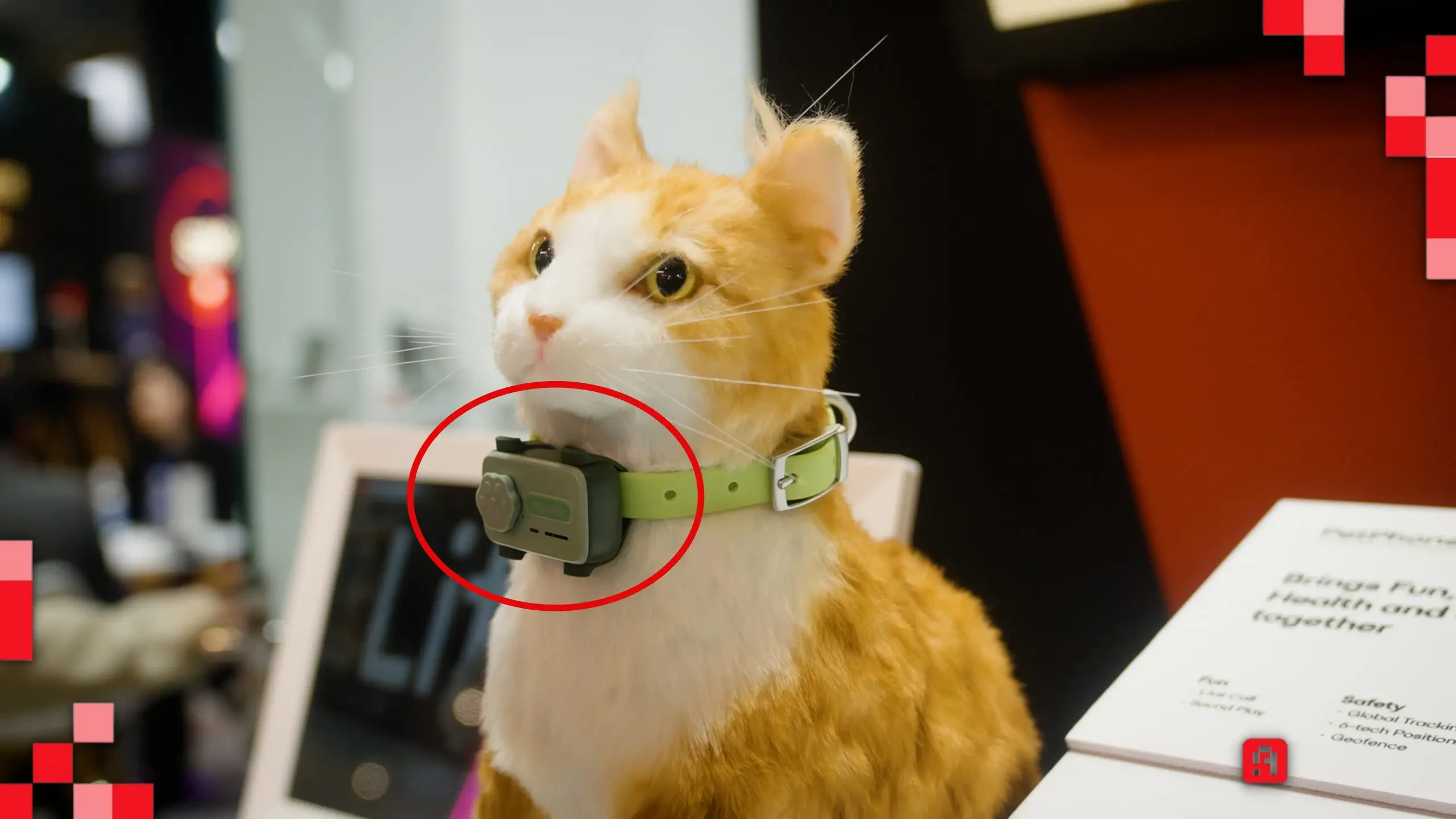 جهاز PetPhone من GlocalMe يتيح اتصال صوتي مع الحيوان الأليف