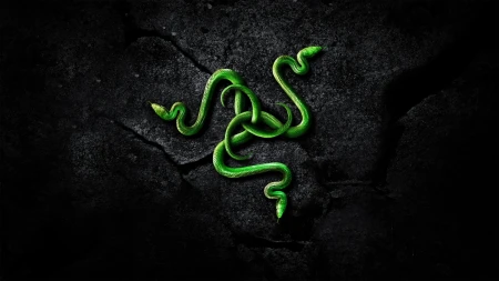 كيف تحولت الثعابين الثلاثة Razer إلى واحدة من أقوى العلامات التجارية؟