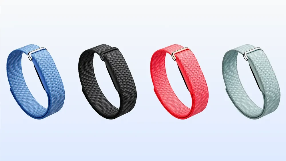 سوار fitbit air . المصدر: جوجل