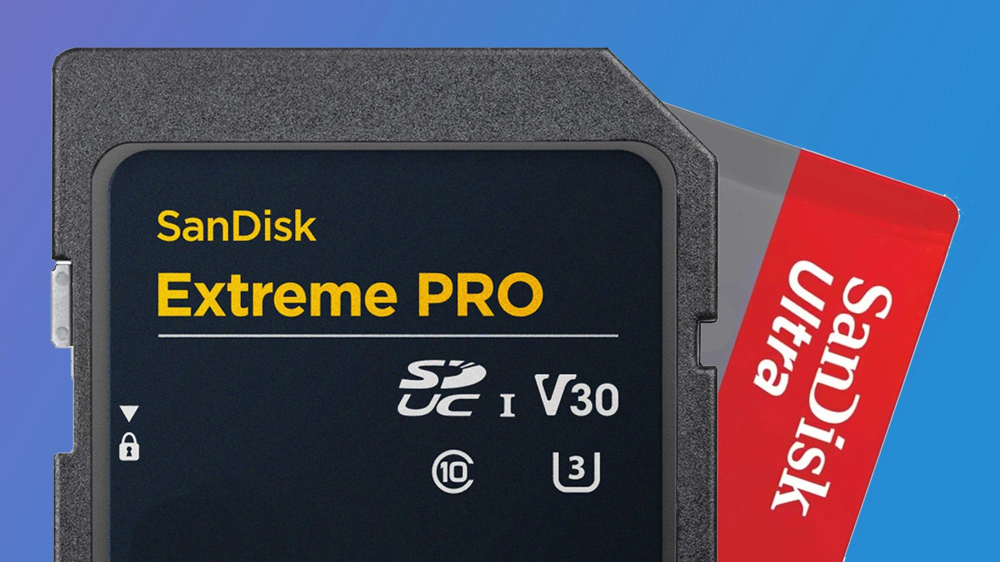 8TB SD