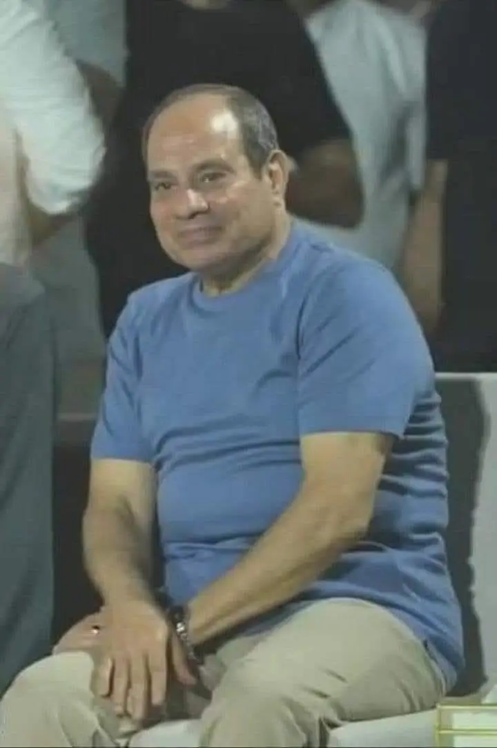 Amr Kamel