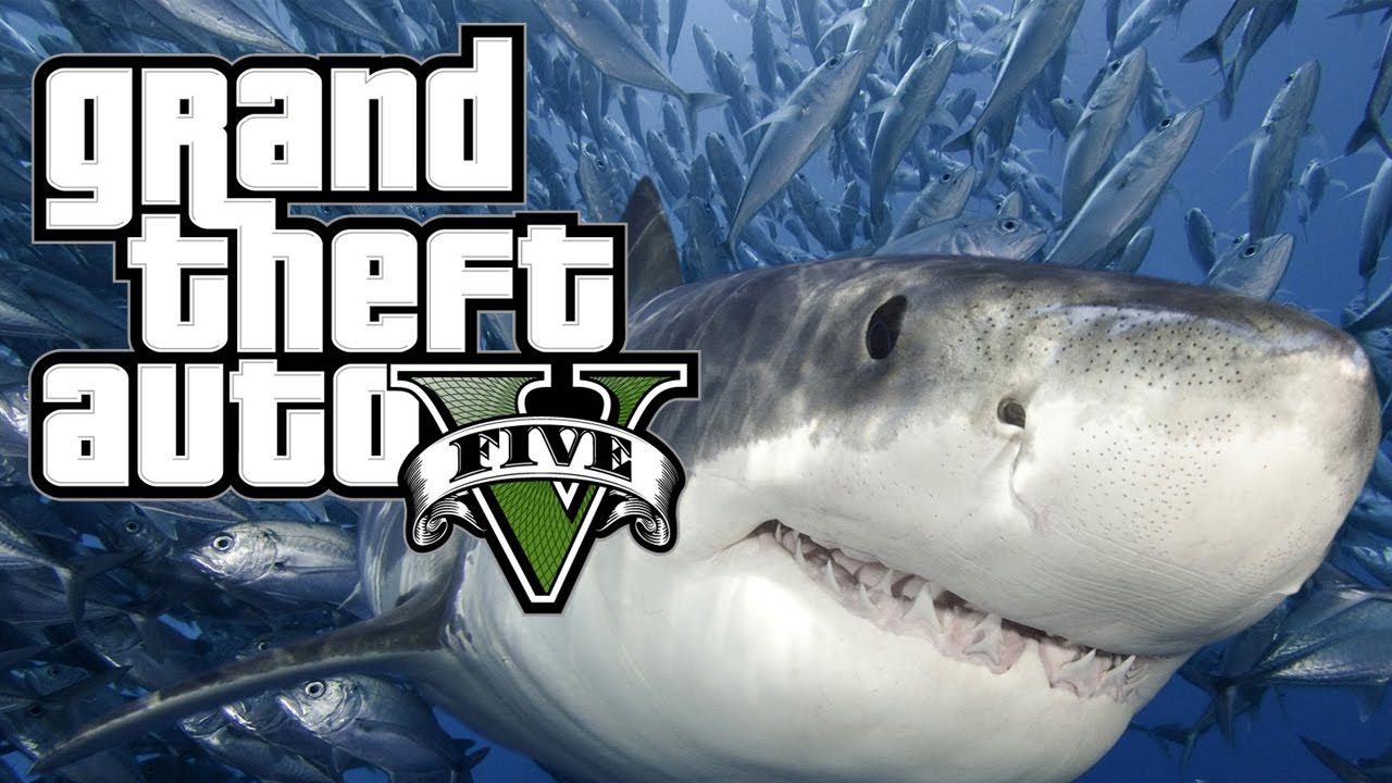 كيف تتحول إلى سمكة قرش وحوت بداخل لعبة GTA V