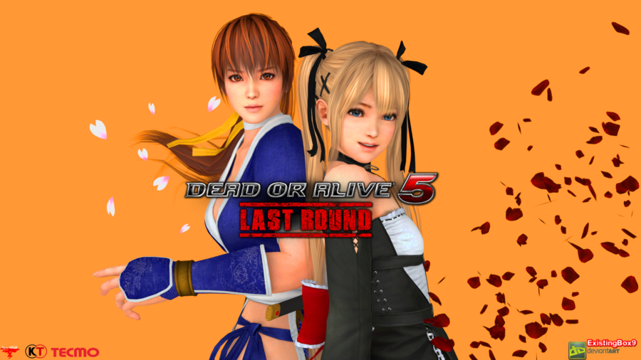 متطلبات تشغيل لعبة القتال المنتظرة Dead or Alive 5: Last Round