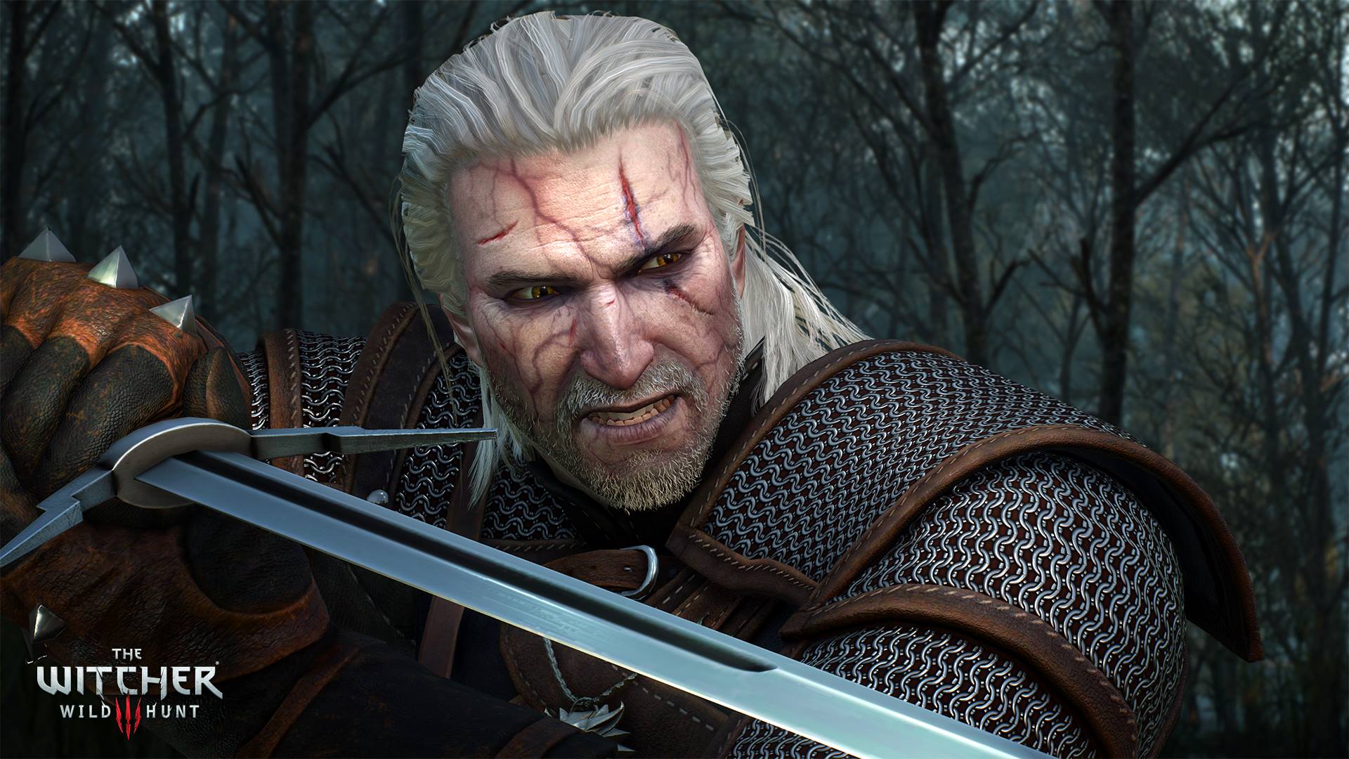 شاهد أكثر من 8 دقائق لإحدي مهمات لعبة The Witcher 3: Wild Hunt