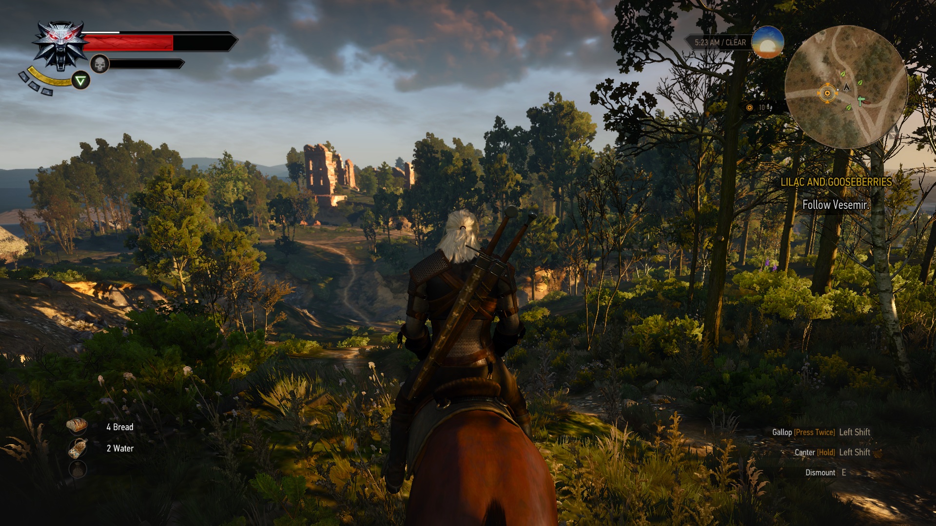 The Witcher 3