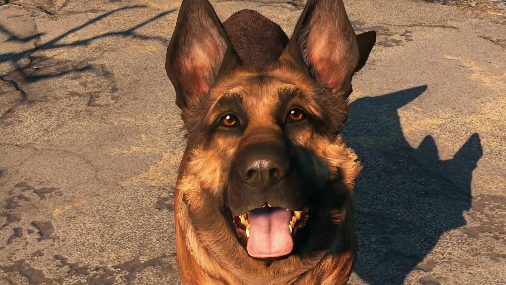 كيف يبدو كلب لعبة Fallout 4 بالحياة الحقيقة وداخل اللعبة