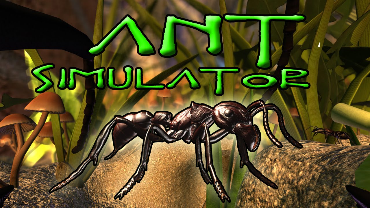بدلاً من إنفاق مال الدعم لتطوير Ant Simulator أنفقوها على الخمور