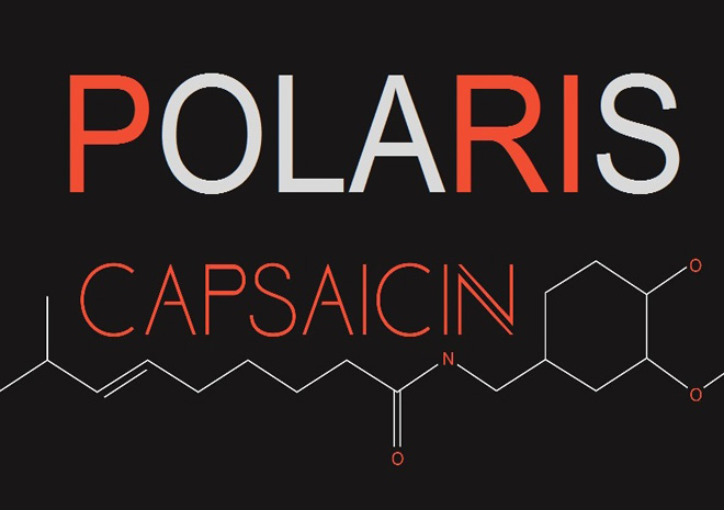 حدث AMD Capsaicin سيكشف عن معلومات جديدة لمعمارية Polaris