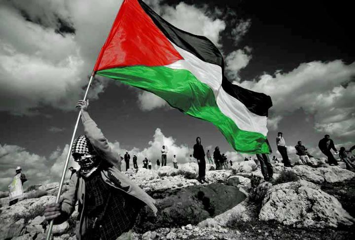 عاجل: جوجل أزالت "دولة فلسطين" من خرائطها