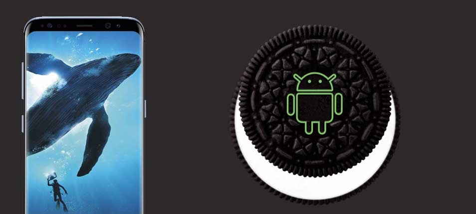 سامسونج تبدأ العمل على تحديث Android Oreo لهاتف Galaxy S8