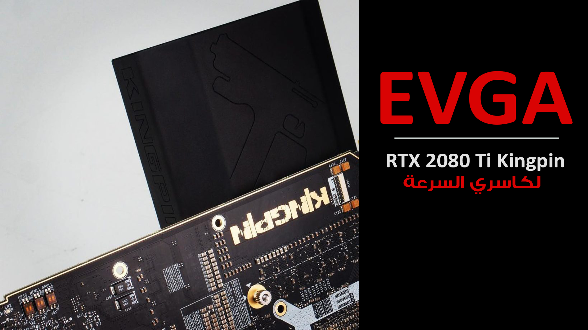 البطاقة المنتظرة لعشاق كسر السرعة EVGA RTX 2080 Ti Kingpin ستطلق قريباً