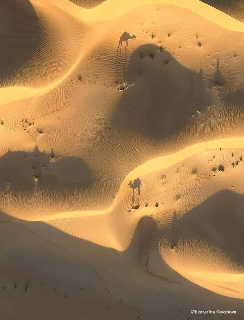 هواوي