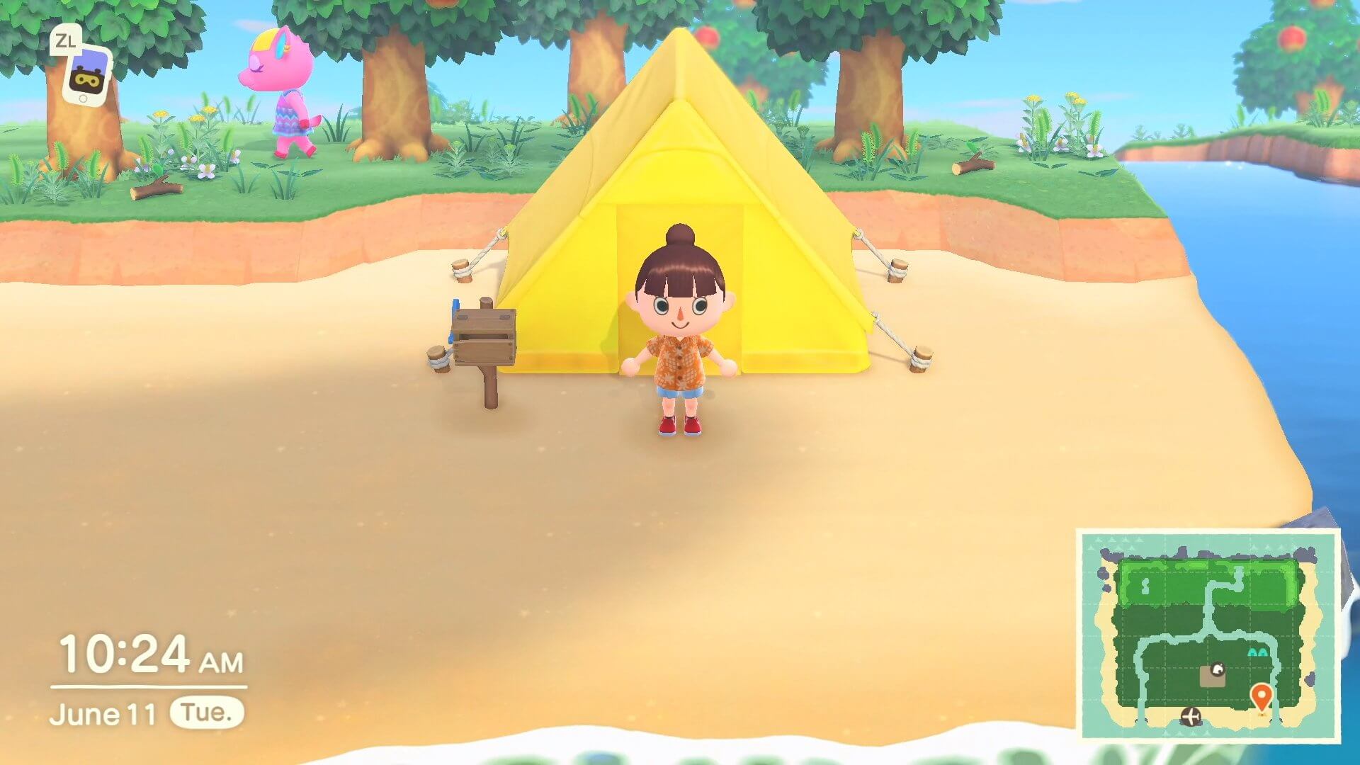 Animal Crossing