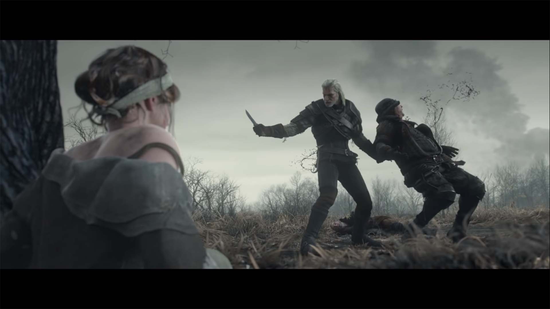 the witcher 3 wild hunt