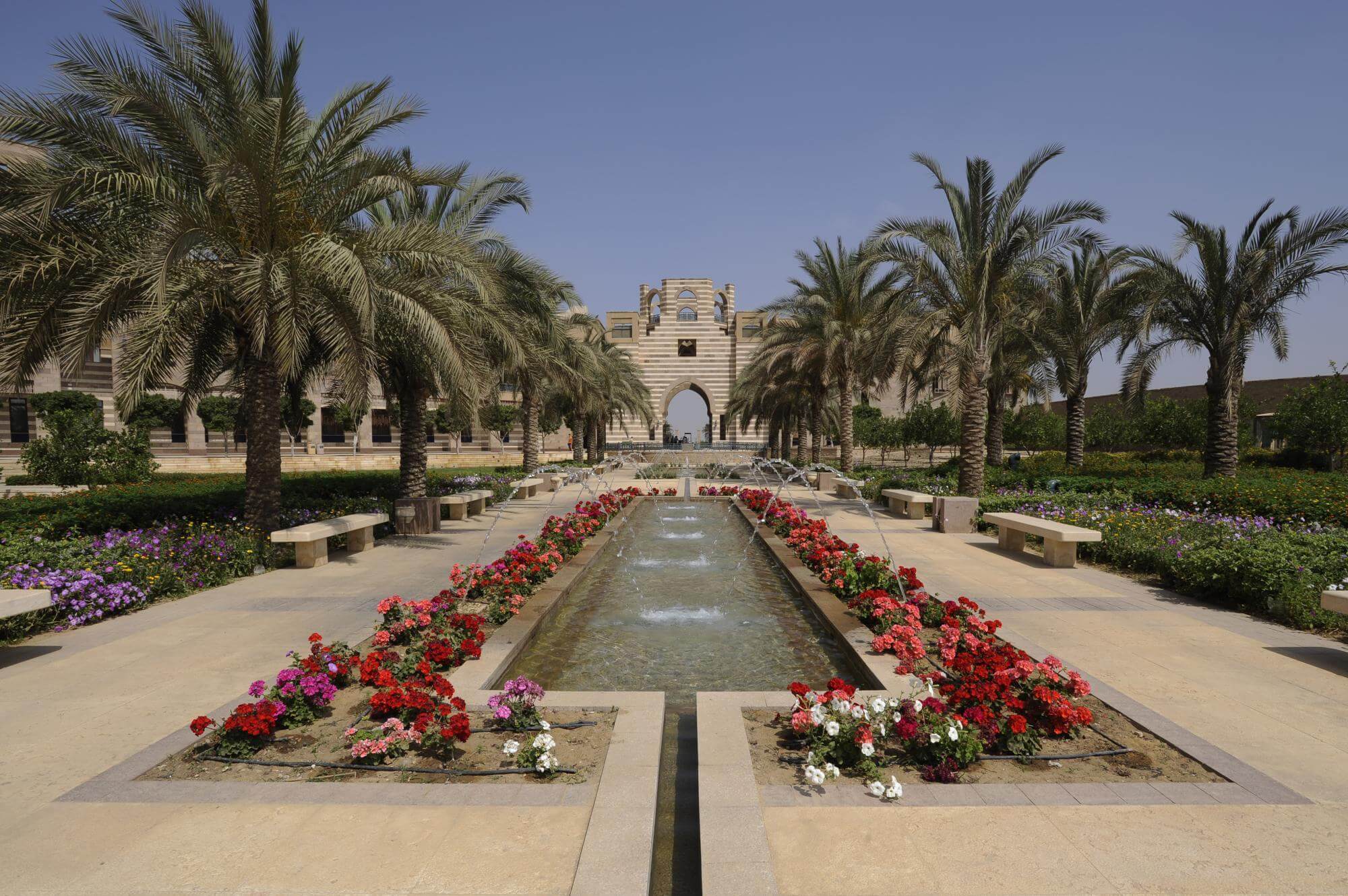 الكورونا تفرض على الجامعة الأمريكية في القاهرة التدريس على الإنترنت!