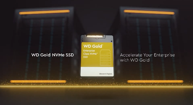 Western Digital تعلن عن سلسلة أقراص Gold U.2 NVMe SSD للفئة المهنية