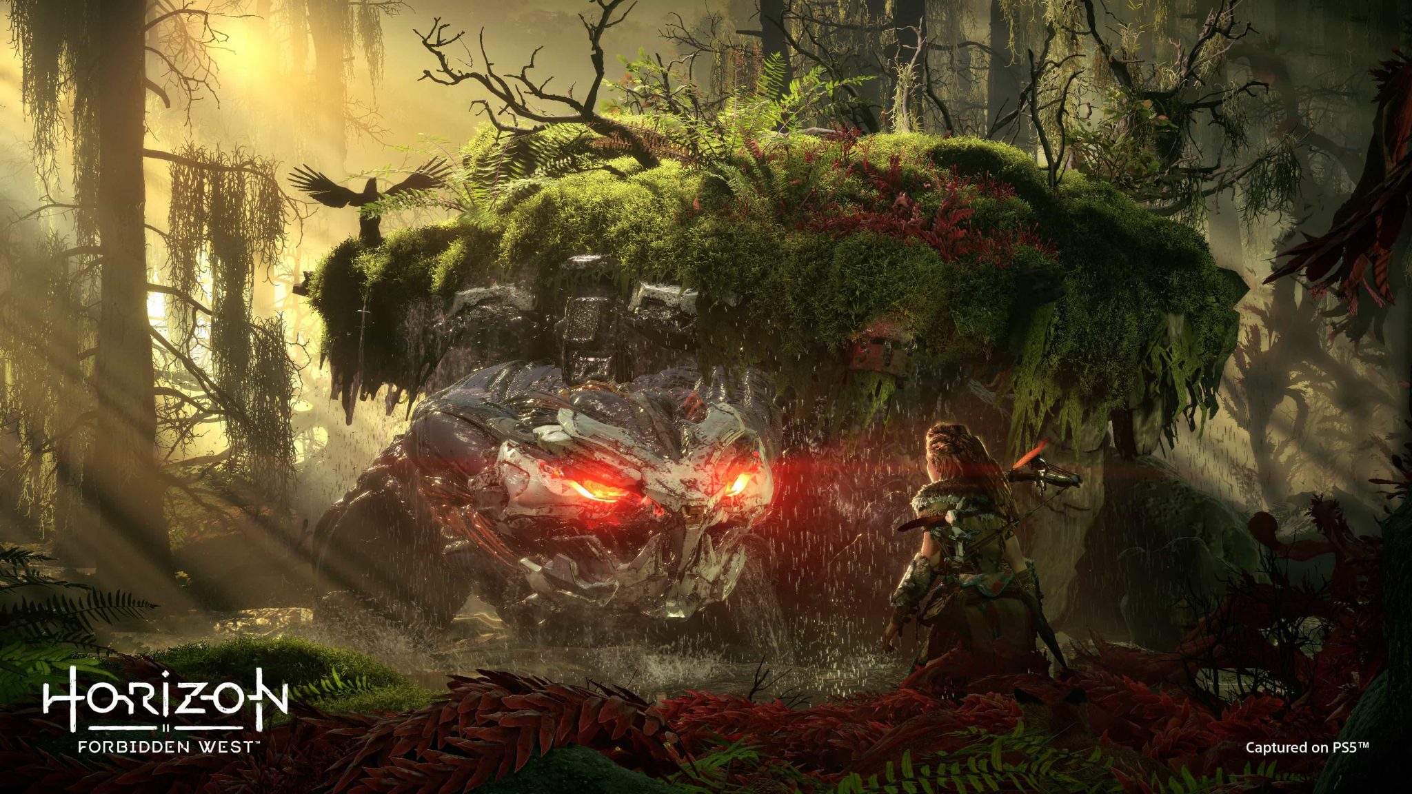 Horizon Forbidden West PS5 Sony