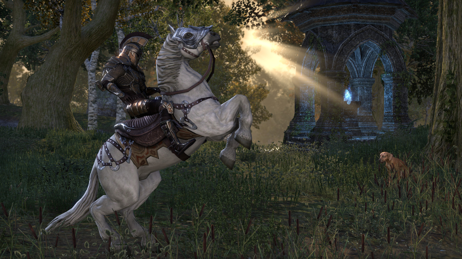 مطور Elder Scrolls Online يعمل على لعبة AAA جديدة بمحرك جديد أيضاً!
