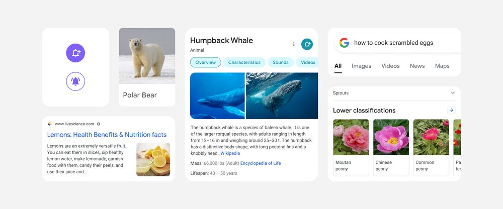 google search mobile