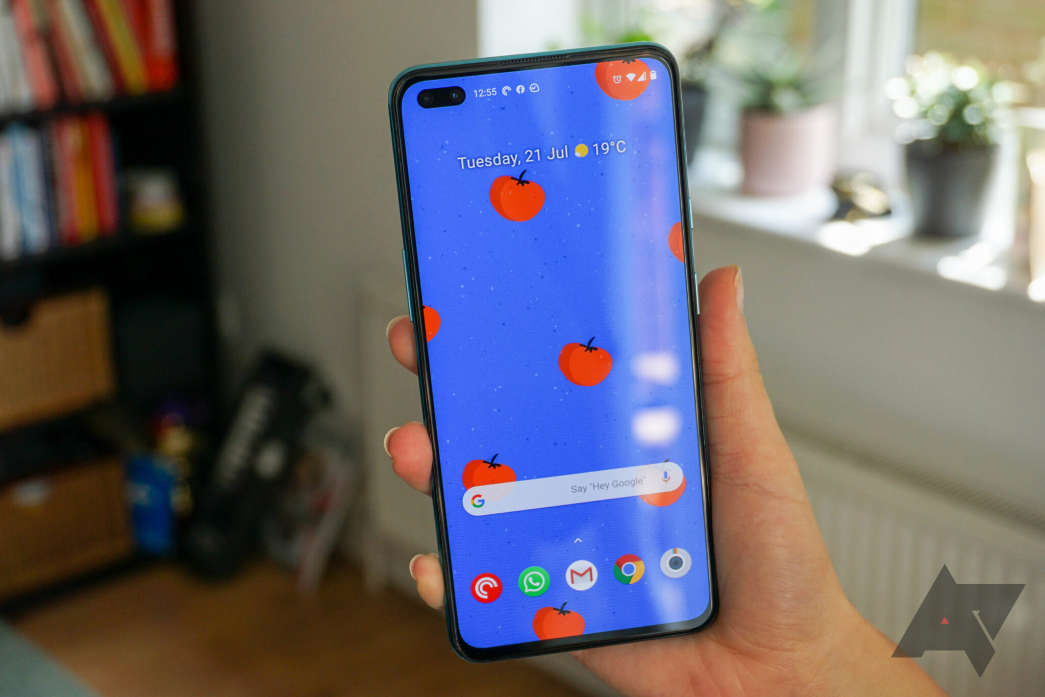 وان بلس تتطرح تحديث OnePlus Nord Android 11 مرة أخرى للجمهور