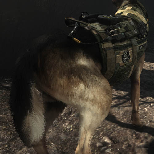 محاكاة ديناميكية الفرو في لعبة Call of Duty: Ghosts من NVIDIA ردا على تقنية TressFX من AMD