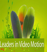 جوجل تستحوذ على شركة Green Parrot Pictures