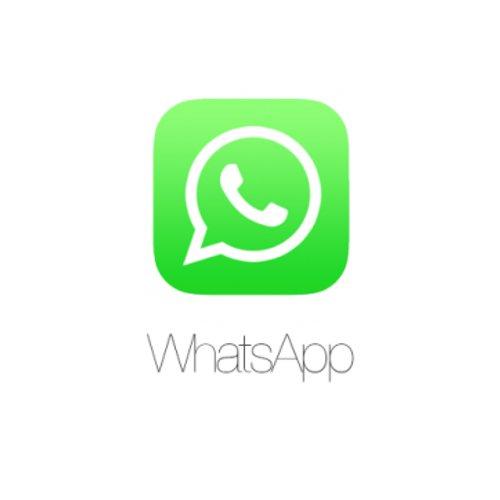 أكثر من نصف مليار مستخدم نشط لدى تطبيق التراسل الفوري WhatsApp